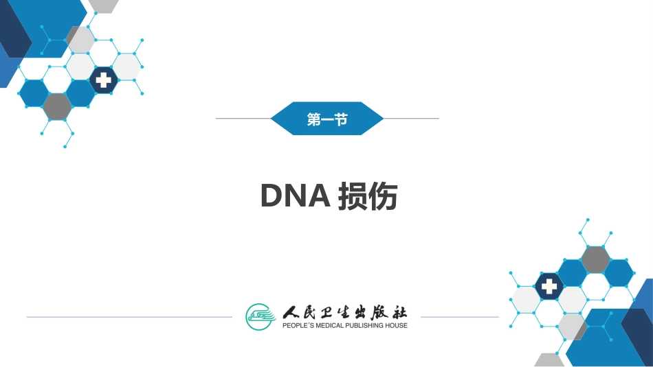 (16)--3.6DNA的损伤分子生物学_第1页