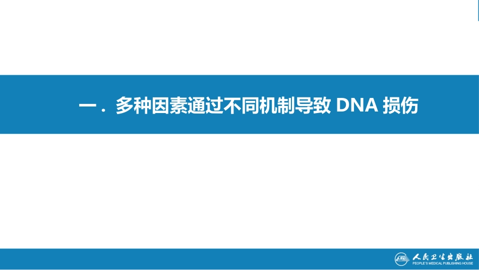 (16)--3.6DNA的损伤分子生物学_第2页