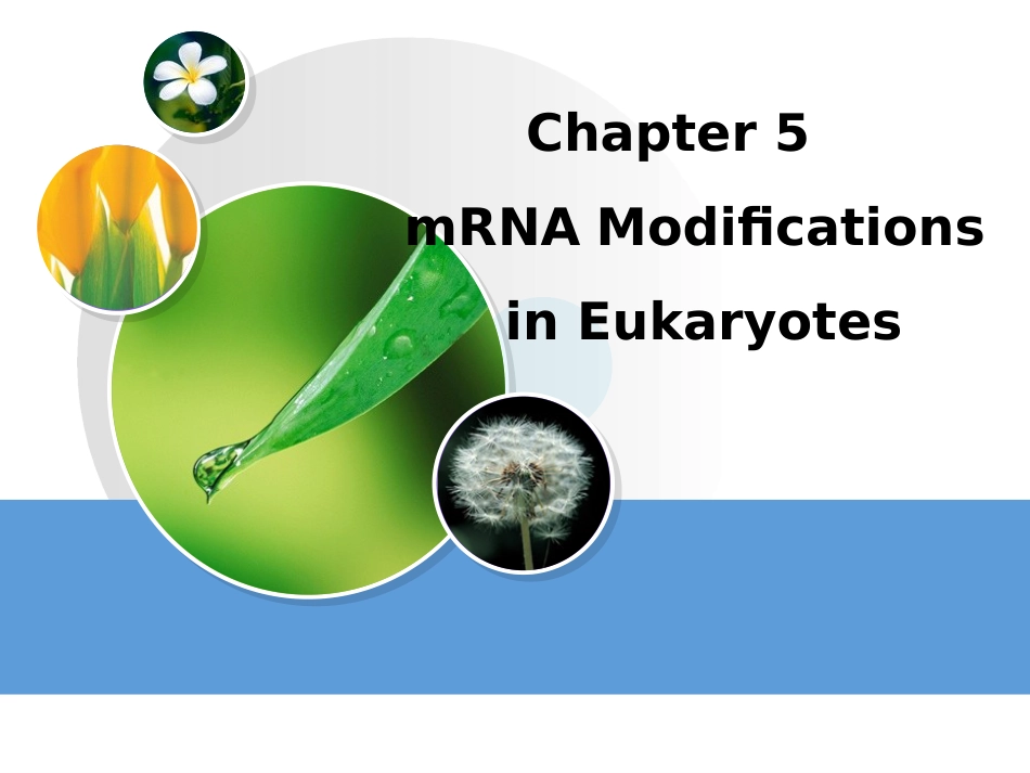 (16)--Chapter 5 mRNA modification in e分子生物学分子生物学_第1页