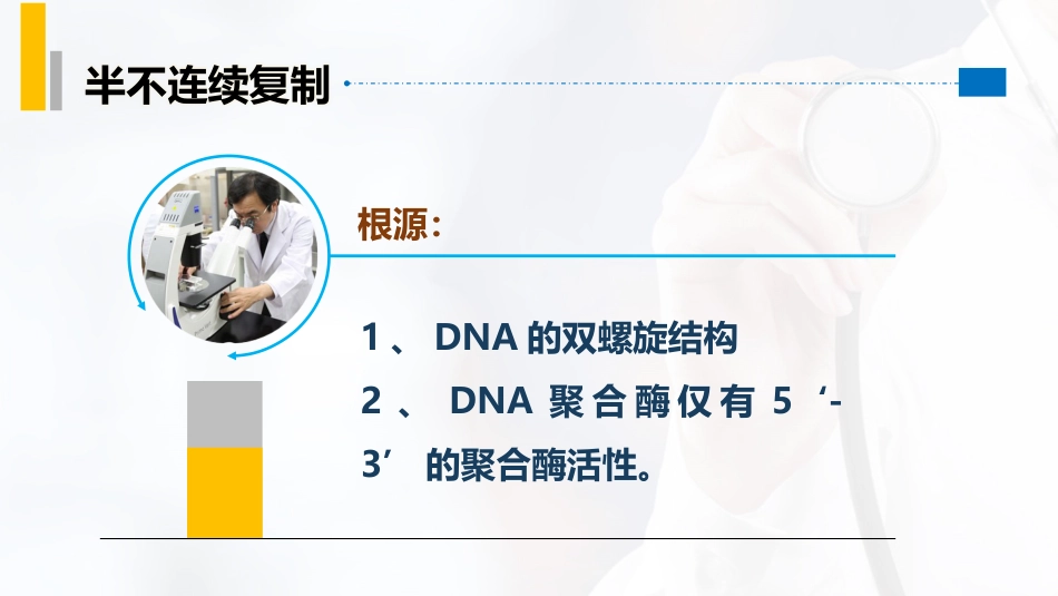 (17)--3.3DNA复制的一般特点：半不连续复制_第2页