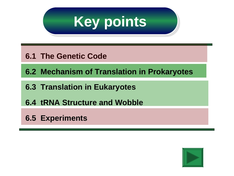 (18)--Chapter 6 translation分子生物学分子生物学_第3页