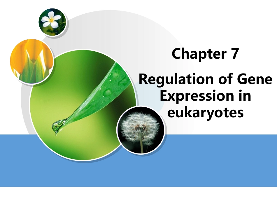 (19)--Chapter 7Regulation of Gene Expr分子生物学分子生物学_第1页