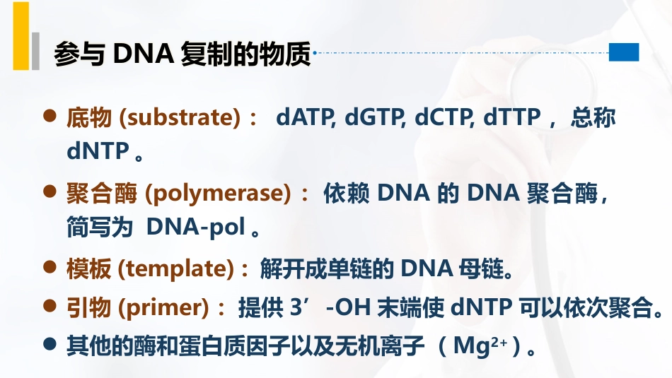 (20)--3.6DNA复制的过程_第2页