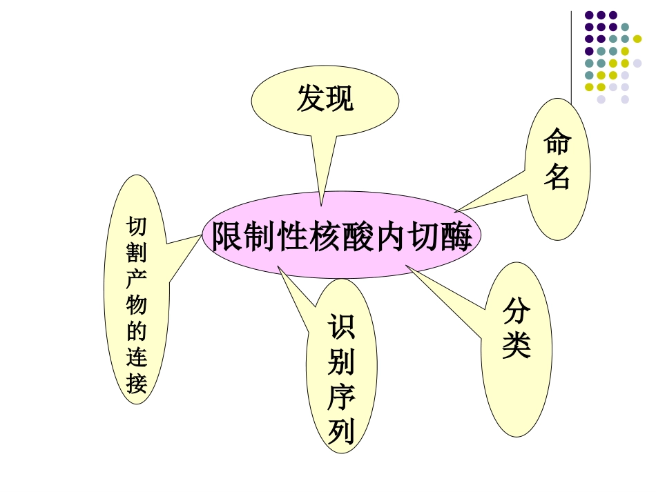 (20)--5. 限制性核酸内切酶_第3页