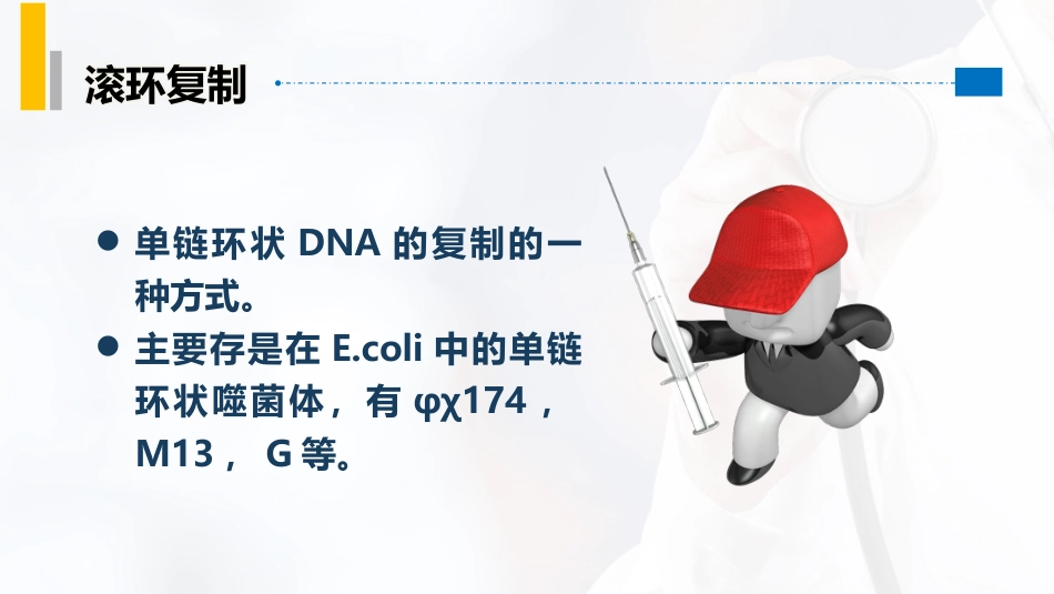 (22)--3.7特殊类型的复制：滚环复制_第2页