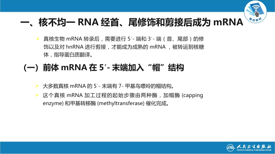 (22)--4.4真核转录后修饰_第3页