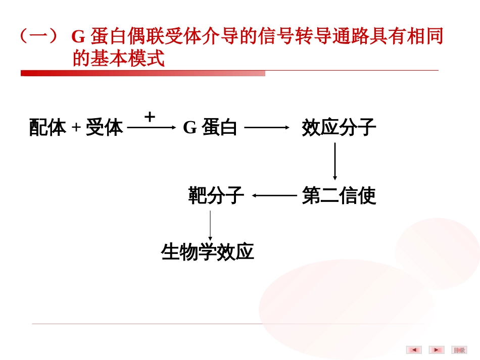 (22)--6.细胞受体介导的信号转导(二）——G蛋白偶联受体_第3页