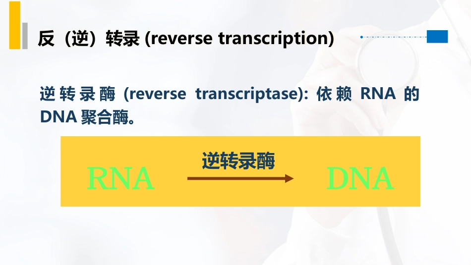 (23)--3.8特殊类型的复制：逆转录_第2页