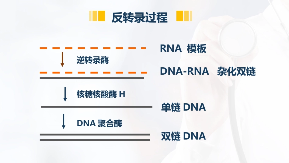 (23)--3.8特殊类型的复制：逆转录_第3页