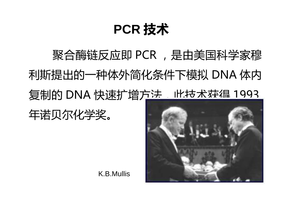 (24)--7-2 PCR技术的原理与应用_第2页