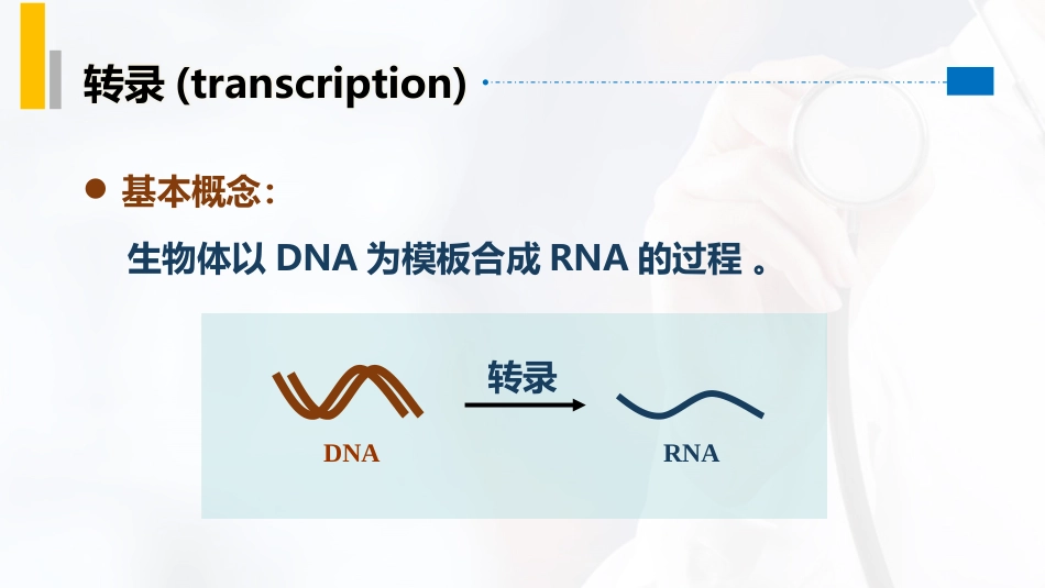 (26)--4.1转录概述分子生物学_第2页