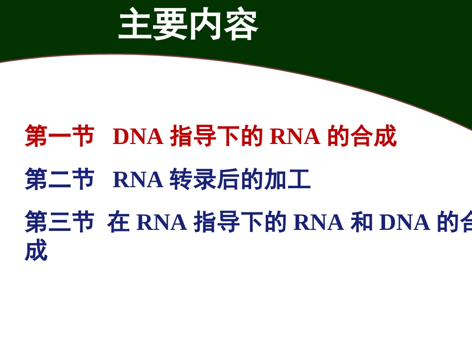 (26)--RNA的生物合成分子生物学_第2页