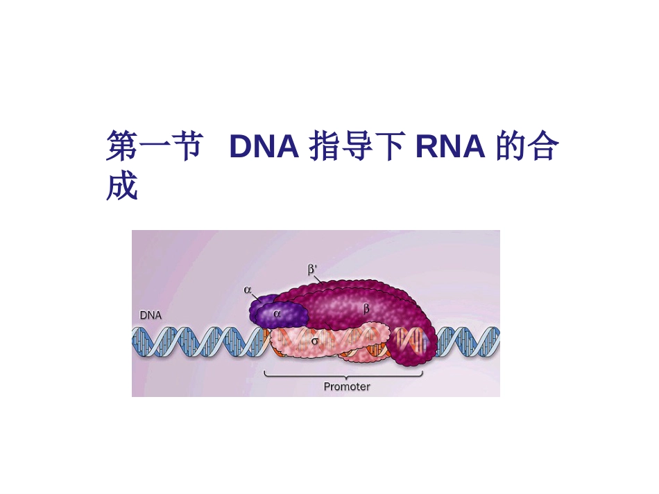 (26)--RNA的生物合成分子生物学_第3页
