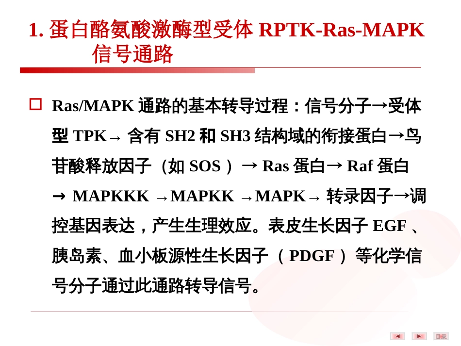 (28)--8.细胞受体介导的信号转导(四）——酶偶联受体_第3页