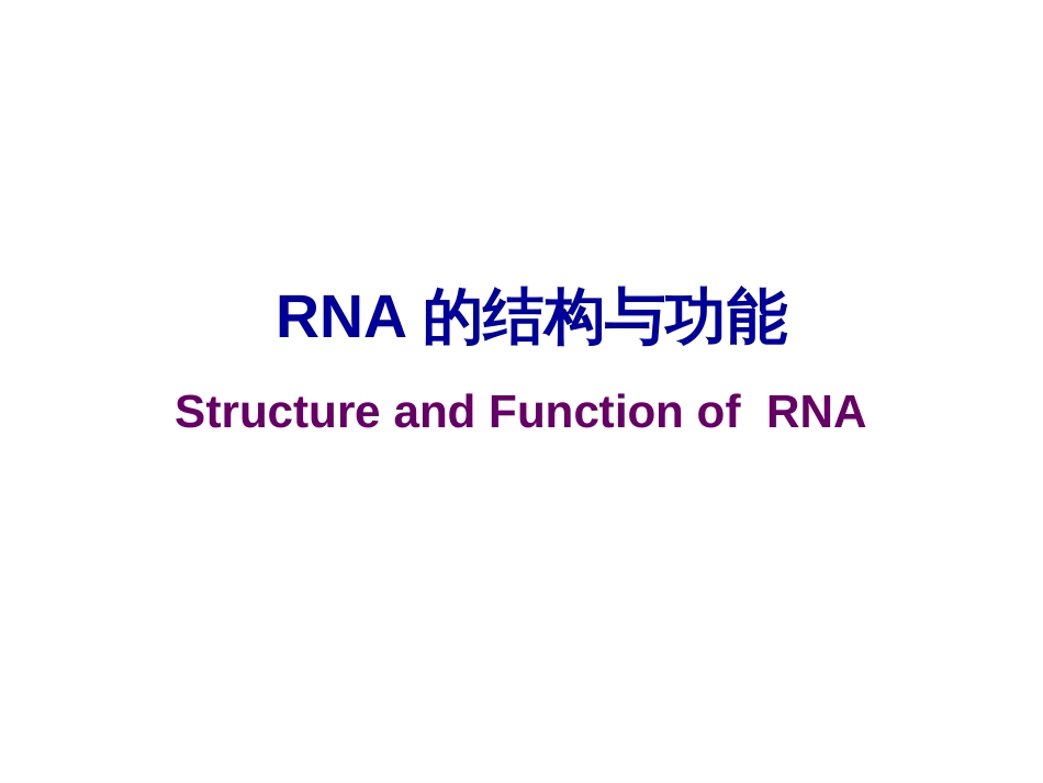 (31)--RNA的结构与功能_第1页