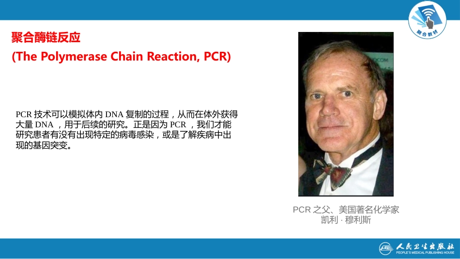 (32)--PCR [自动保存的]_第2页