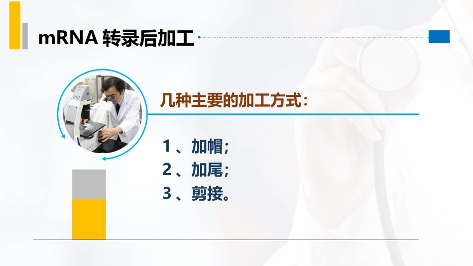(36)--4.7真核生物mRNA的成熟_第3页