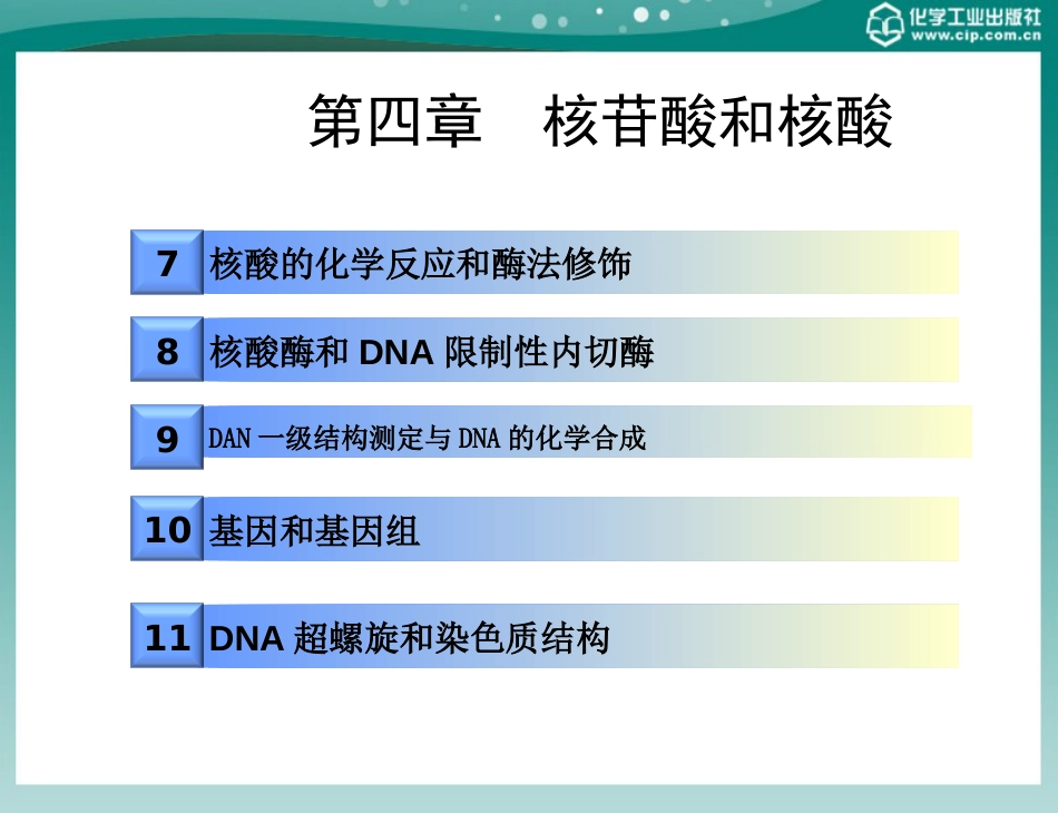 (36)--第四章 DNA的结构分子生物学_第2页
