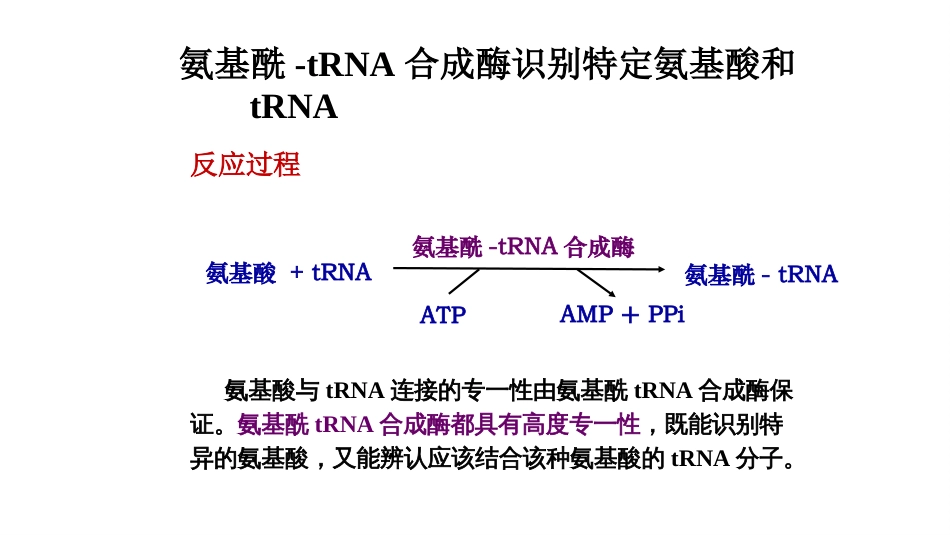 (37)--蛋白质合成过程_第2页