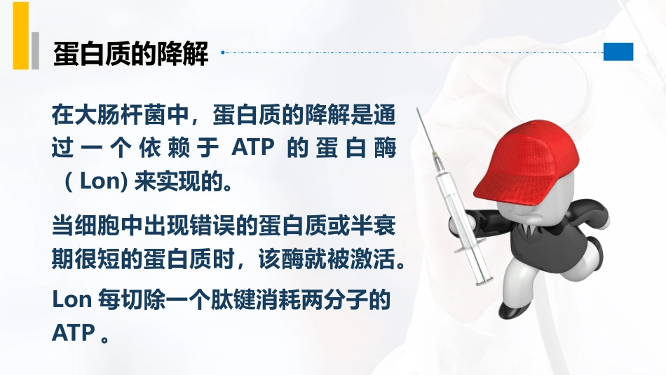 (46)--5.13泛素化修饰介导的蛋白质降解_第2页