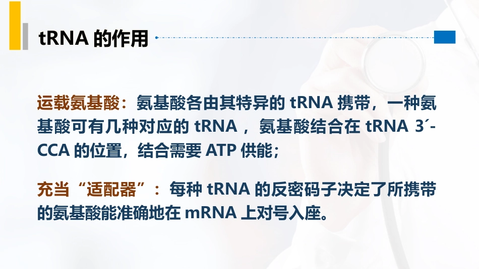 (49)--5.4tRNA在蛋白质生物合成中的作用_第2页