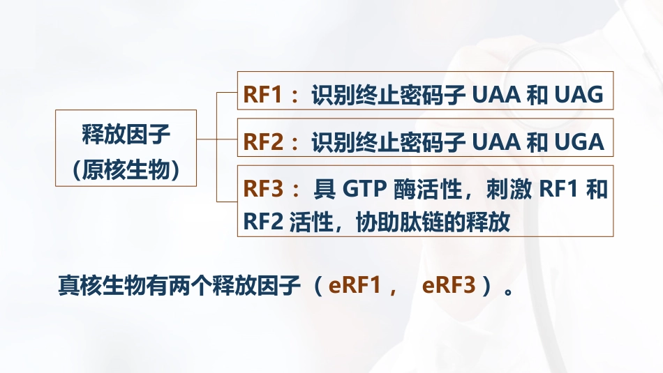 (54)--5.9蛋白质合成过程：肽链合成的终止_第3页