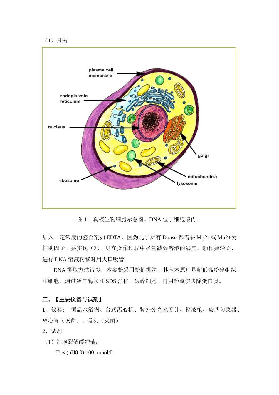 (61)--实 验 一 动物细胞基因组DNA的分离、定量和限制性内切酶消化_第2页