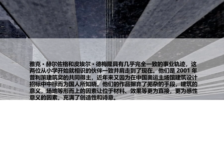 赫尔佐格和德梅隆[共42页]_第2页