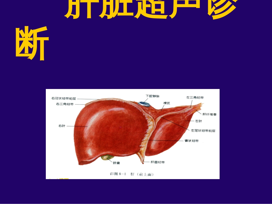 腹部超声诊断学课件[共237页]_第3页