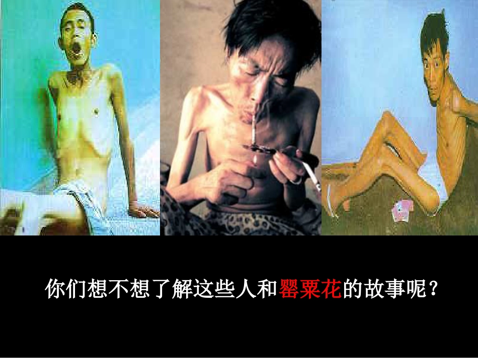 冀教版七年级下生物：春使用《第六章第四节珍爱生命拒绝毒品》课件4_第3页