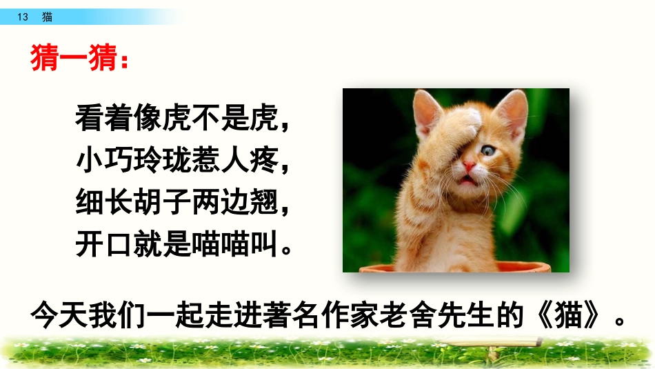 部编版四年级语文下册《猫》课件_第1页