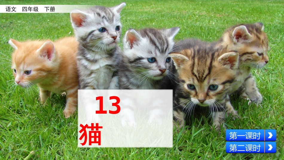 部编版四年级语文下册《猫》课件_第2页