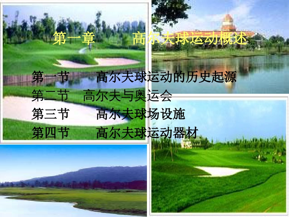 高尔夫球运动概述_第1页