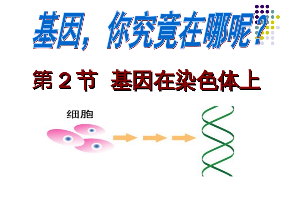 基因在染色体上公开课[共38页]_第1页
