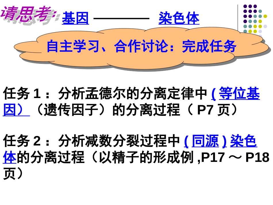 基因在染色体上公开课[共38页]_第3页