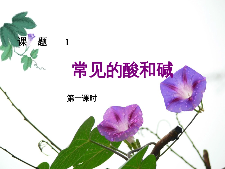 常见的酸和碱课件[共57页]_第1页