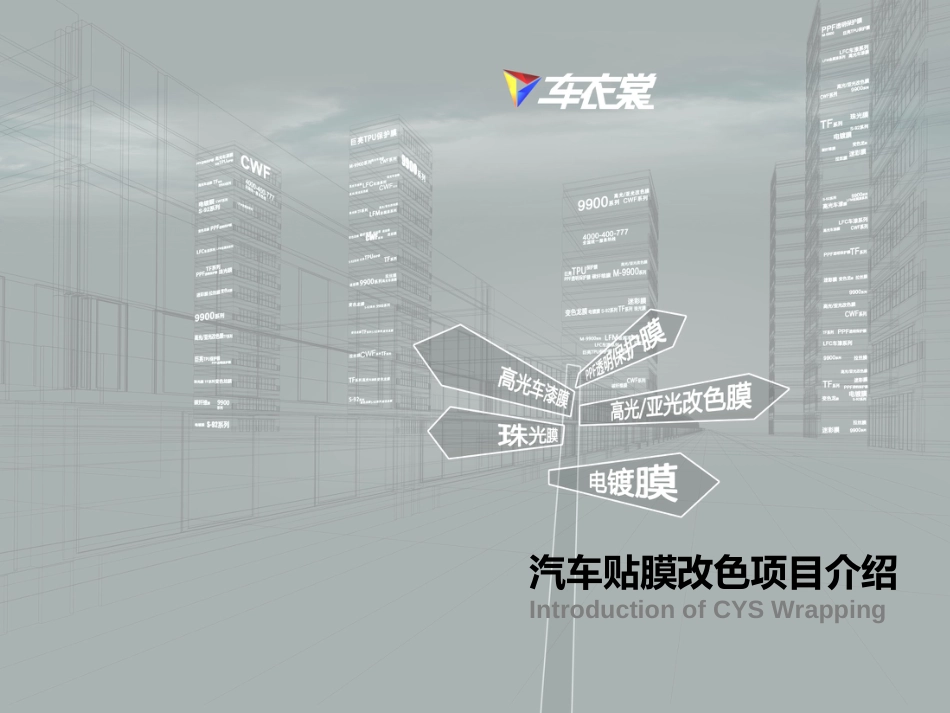 车衣裳改色膜项目介绍_第1页