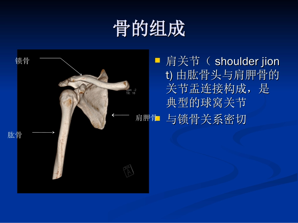 肩关节解剖及病变[共97页]_第3页