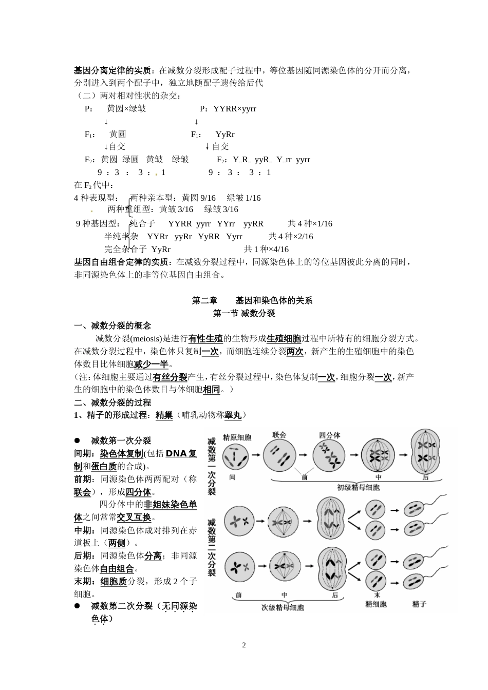 高中生物必修二知识点总结人教版复习提纲期末必备[共14页]_第2页