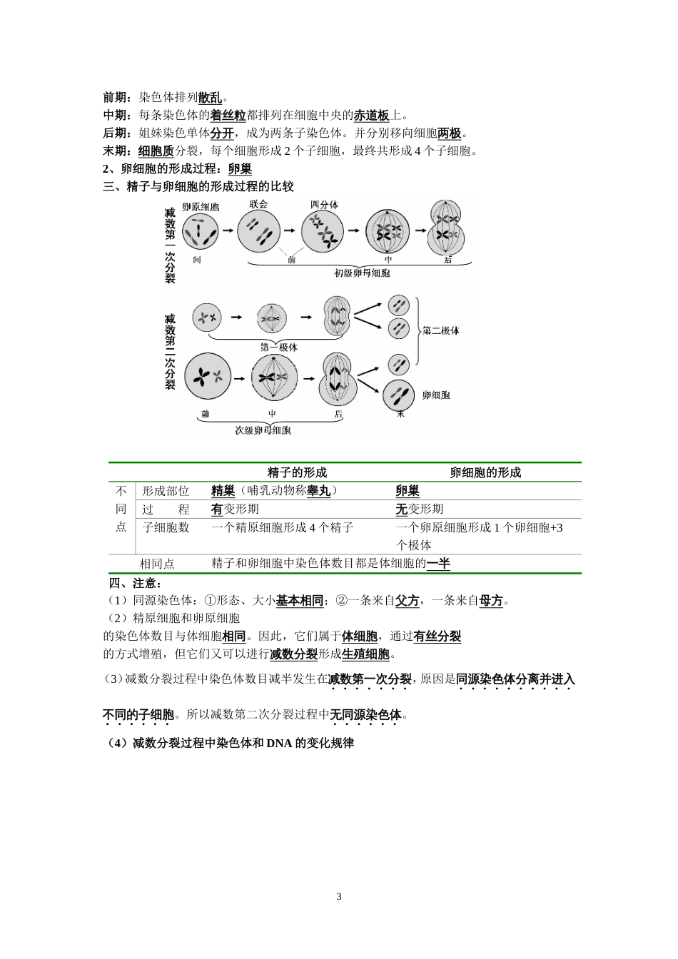 高中生物必修二知识点总结人教版复习提纲期末必备[共14页]_第3页