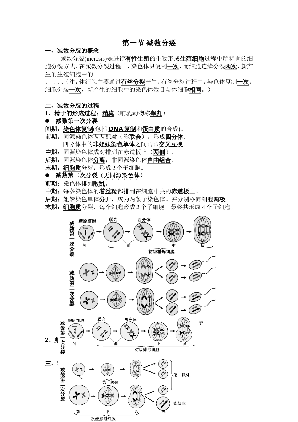 高中生物必修二知识点提纲_第3页