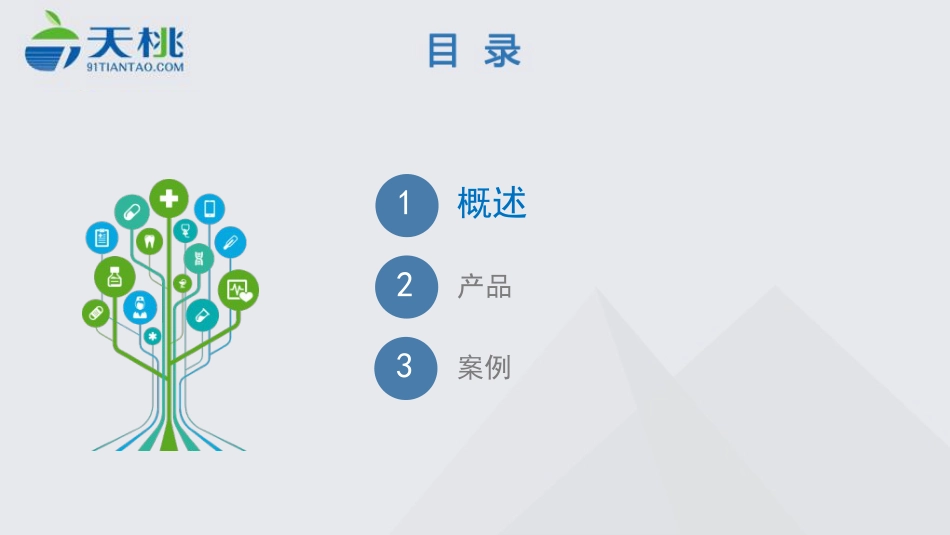 互联网医院解决方案56页_第2页