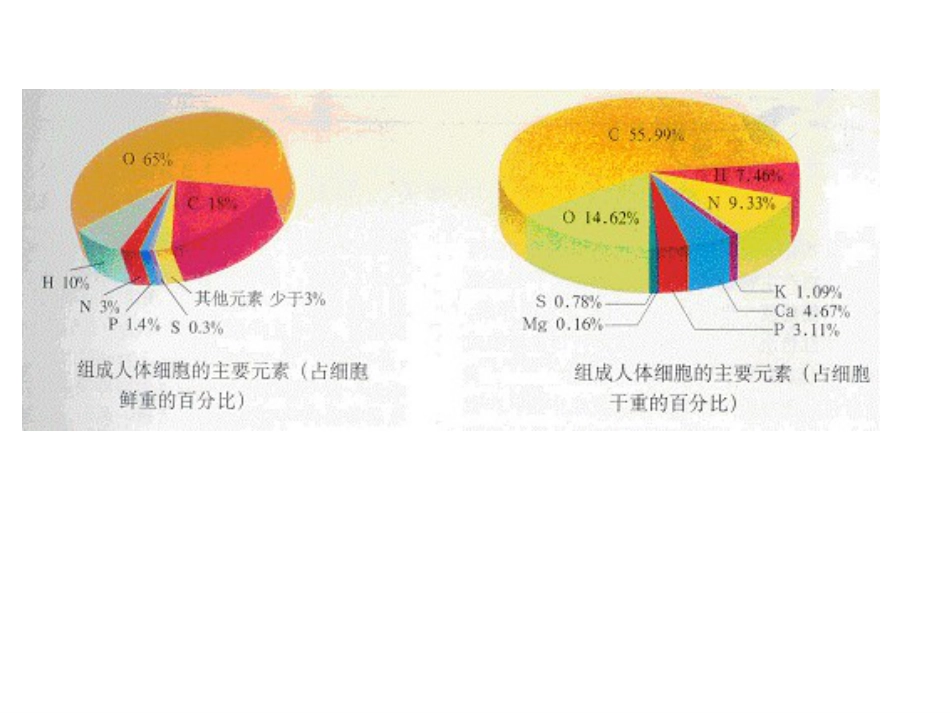 高中生物教材图片新人教版_第2页