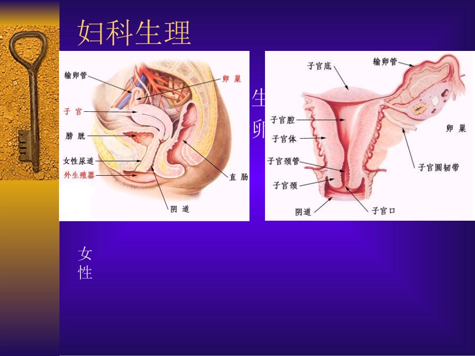 妇科腹腔镜手术配合[共25页]_第2页