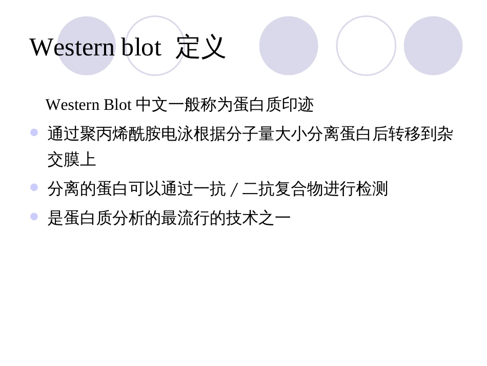 westernblot原理及操作流程[共25页]_第2页