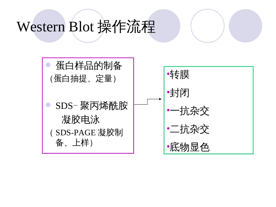 westernblot原理及操作流程[共25页]_第3页