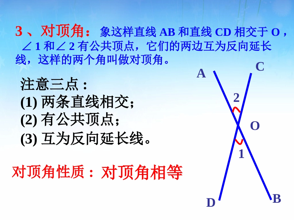 鲁教版六年级下册数学7.1.2两条直线的位置关系_第3页