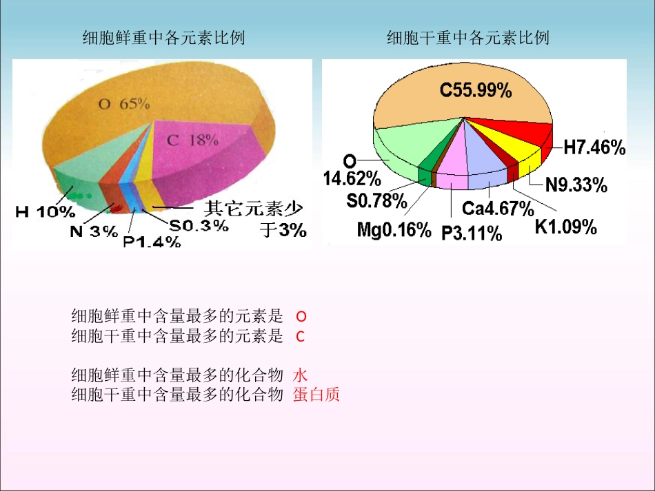 高二生物必修一糖类和脂质[共52页]_第1页