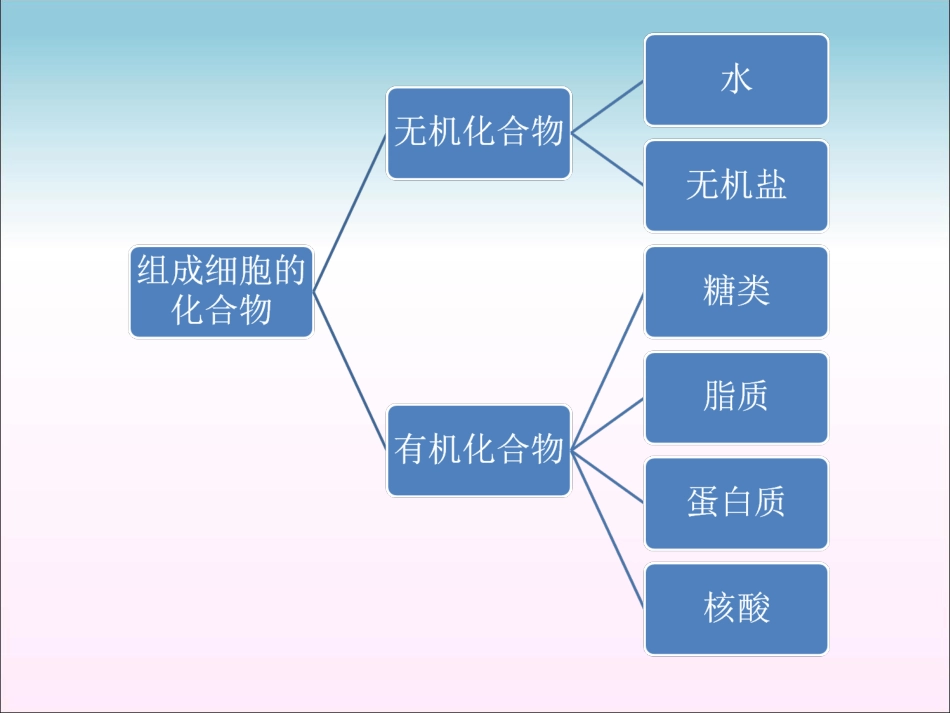 高二生物必修一糖类和脂质[共52页]_第2页