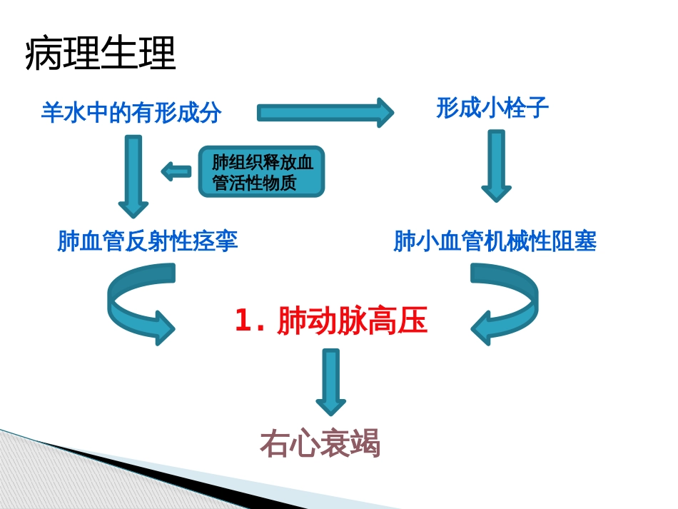 羊水栓塞的护理[共17页]_第3页